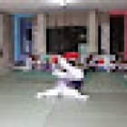 APYB-Associação Portuguesa Yoseikan Budo