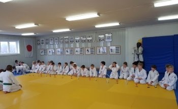 Alingsås Judoklubb