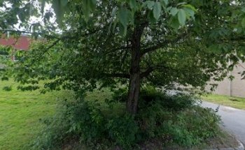 Nynäshamns Atletklubb