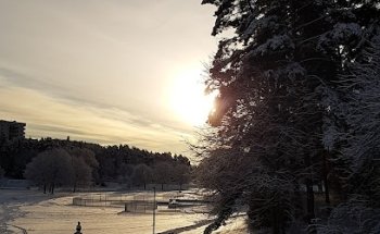 Centralparkens utegym