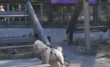 Mälarhöjden utegym