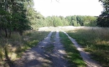 Ursvik motionsområdets utegym