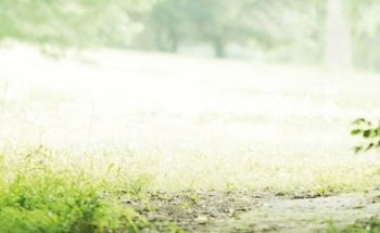 MARIE LINDWALL YOGA MASSAGE & DIETARY ADVICE