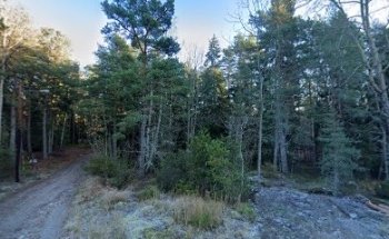 Stenhamraspåret utegym