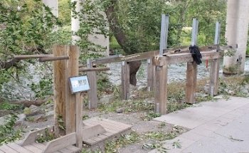 Hornsbergs Strands utegym