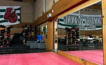 Hammarby IF Boxning - Skarpnäck