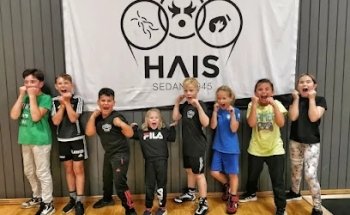 Halmstads Allmänna IS