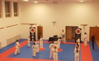Skara Taekwon-Do Klubb
