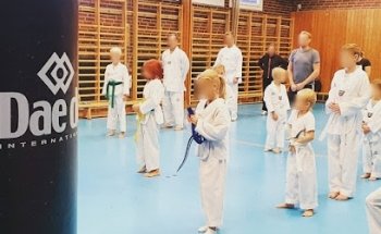 Vallentuna Taekwondo If
