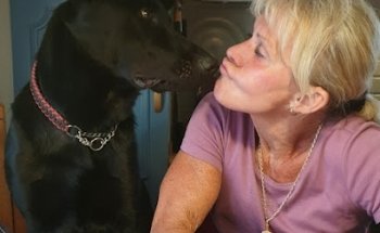 Sollentuna Kraftsportklubb