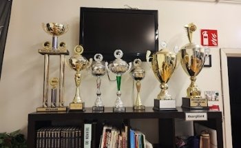 Frolunda Taekwondo Club