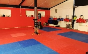 Vanersborg Taekwondo yoksa