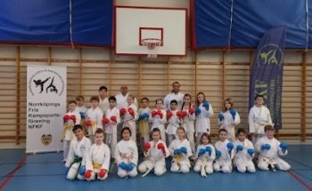 Norrköpings Fria Kampsportsförening