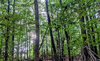 Motionskicken - Träning & Yoga Kallebäck