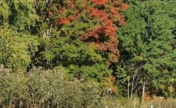 MTB Köping Skoftesta