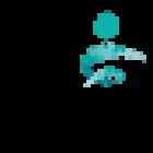 zoloz - dance and health