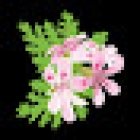 Westerlunds Friskvård