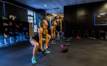 Twisted Cycle Acworth