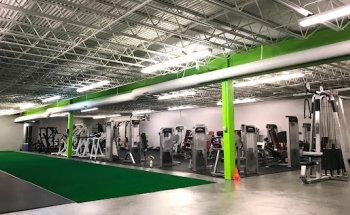 GT Sports Performance