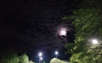 Therapy Plus Fitness