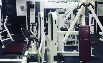 Iron Jungle Gym and Fitness