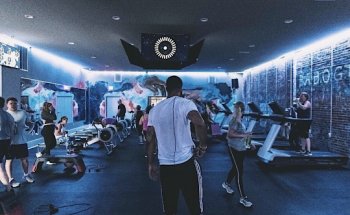 The Junkyard of Anderson