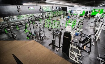 Everyday Fitness and Training