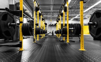 3N1 Fitness Revolution