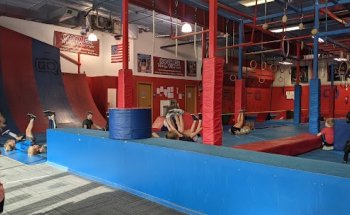 Conquer Ninja Gyms - Blaine