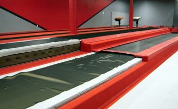 Team Attraction Gymnastics