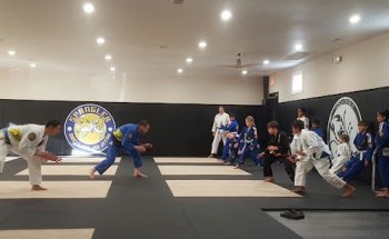 Jiu Jitsu Performance Academy