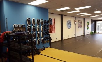 Flow Brazilian Jiu Jitsu