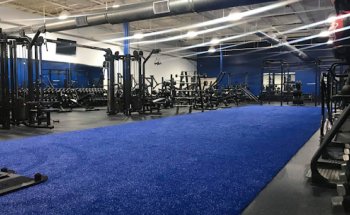 Live It Fitness & Training