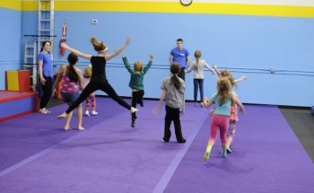 Synapse Circus Center