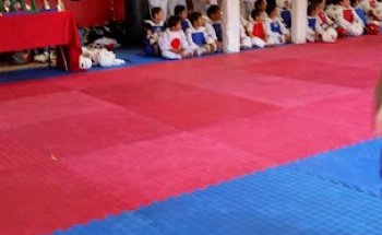 Team Fearless Academy of Martial Arts Taekwondo