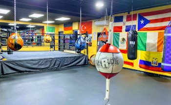 Babylon Boxing