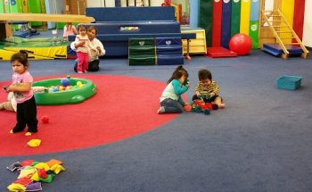 My Gym Children Fitness Center