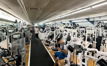 Dolphin Fitness Clubs