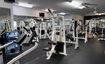 Bay Strength and Fitness