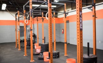 E.P.I.Q. X Fitness & Performance