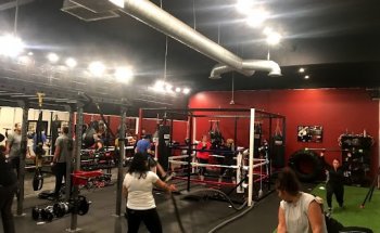 Winning Image Fitness