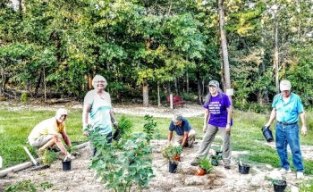 Buckingham Trailhead Back Forty Trail