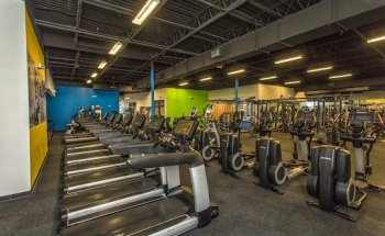 TF Fitness + Nutrition