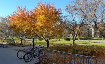 Regional Fitness Center/Cougar Sports Center
