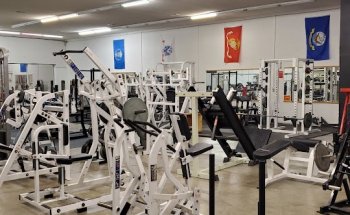 Monsters Bent Barbell