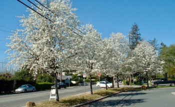 Benicia Health & Fitness Club