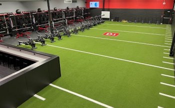 D1 Training Bloomingdale