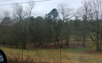 Jazzercise Braselton