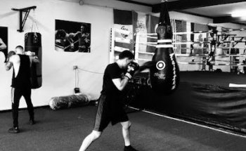 The Buffalo Boxing Club