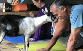 Water and Rock Studio